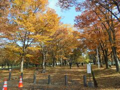 紅葉が綺麗な弘前公園
ここでも先ほどとは別のカップルがウェディング写真の撮影してました。
みんないいねえ