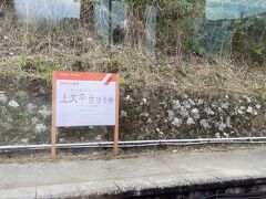 箱根登山鉄道は、スイッチバック(折り返し)が3回あります。渋滞はないけど、もどかしいなー(^^;