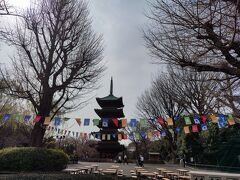 五重塔がありますね。
上野動物園に入りました。