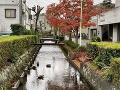 綺麗に整備され明媚な桜川沿い