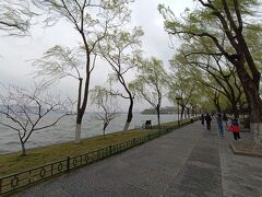 しかし今日の西湖は風が強く肌寒い。柳の葉もなびき甲斐があるってものよ。写真から枝のように心も折れそうなことが伝わるでしょうか。