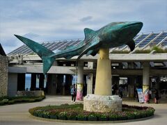 12：00～15：00　沖縄海洋博公園を見学