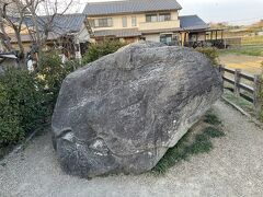 亀石も見に行かなくては。駐車場はここが一番困る。国営飛鳥歴史公園、甘樫丘地区の公園に止めて必死に歩きます。