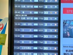 飛行機での移動