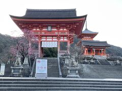 バス停から歩いて10分くらいかけてようやく清水寺に到着。

https://www.kiyomizudera.or.jp