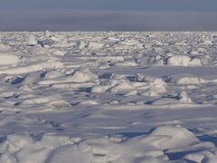 一面の流氷、さすが知床☆