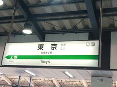 緊張しながら東京駅の雑踏を歩く。
外国人観光客や東京初めての人と同じレベル。
