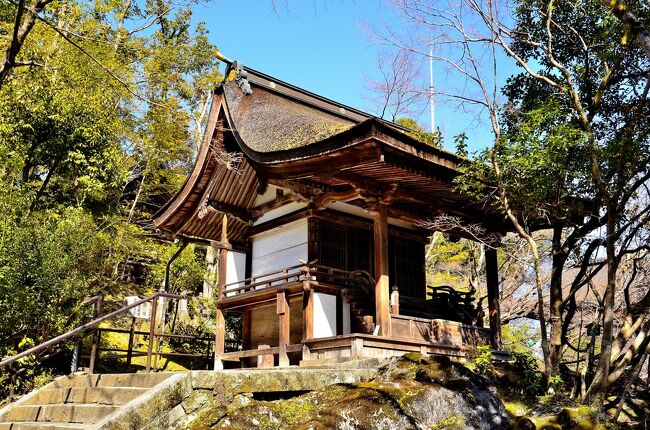 早春賦 近江 石山④石山寺 三十八所権現社・経堂・鐘楼・多宝塔・芭蕉庵・月見亭