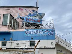 枕崎駅から車で10分弱の港沿いにある「枕崎お魚センター」へランチを食べに行きました。