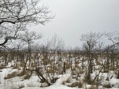 2日目の朝です。今日は釧路湿原のツアーがあります。
朝6時30分にホテルに迎えがあり、車で塘路駅まで向かいます。