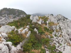 　白崎海洋公園全体が白い石灰岩で囲まれていて、青い海と氷山のような白い岩のコントラストが美しく、エーゲ海を彷彿させると言う。あいにく風雨が激しく視界も悪く、その情感に近づくことは出来なかった。