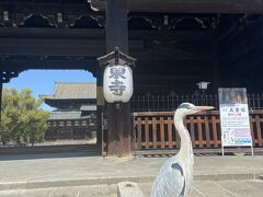 東寺に着いたら
シュッとした鳥が門番をしてました。笑