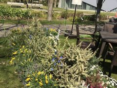 本日から開催されたイベントの下見。
予定が入っていたため、別の機会にまた行きたいと思います。
