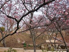 千光寺公園 　広島県尾道市東土堂町