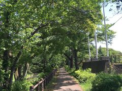 電動アシスト自転車に乗り、立川市街地から南下して根川緑道に入りました。
