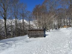 頂上にはHAKUBA MOUNTAIN HARBORがあります。
スキーをしなくても楽しめるゲレンデの草分け的存在だと思います。
実際、私たちの様な観光客っぽい人も結構いました。