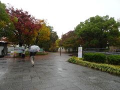 電車に乗ってやってきたのは「大阪城公園」。

雨が降ってきたー。
この旅行では、初めての雨。。。