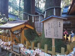 高千穂神社