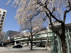 日本橋の先に桜が見えて
旧野村証券前に咲く

その前は某バンク
今は懐かしい
と言えるようになったな・・・