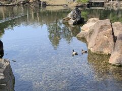 殿になった気分