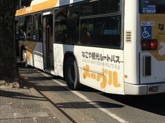 メーグル乗車