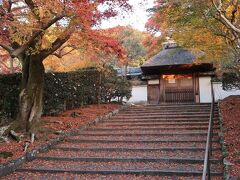 ４８＜安楽寺＞
　霊鑑寺からほんの２、３分の所にあった安楽寺。紅葉がみごとです。ああ、失敗した・・・。