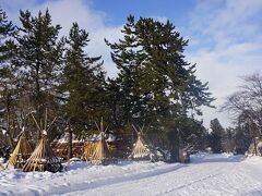 ●弘前公園＠弘前城界隈

雪国の風景ですね。
植物を雪囲いしています。