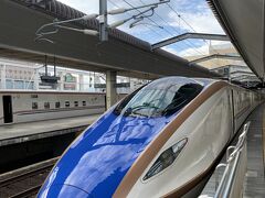 たにがわの後にきたのは、この北陸・長野新幹線：あさま。
先ほどの上越新幹線、しかもE2系を見送った涙はすぐに乾いた。
何だこのかっこよさ。