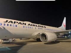 飛行機での移動