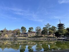 猿沢の池