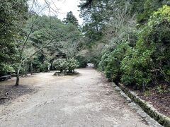 弥山ロープウェイに向かいます。厳島神社の後ろ側からロープウェイの駅まで無料バスが出ていますが、歩いても10分程度なので歩いて向かいます。