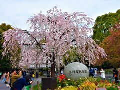 上野恩賜公園