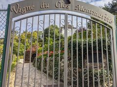 クロ モンマルトル(Vigne du Clos Montmaltole)
12 世紀に設立され、この地域の住民によって管理されており、「ル クロ ベルトー」、「ラ グット ドール」、「イル ピッコロ」など、さまざまな種類のワインを集めています。当初、クロ モンマルトルのワイン生産は地元の消費者向けに予約されていましたが、現在、ブドウ園には 1,800 の植物があり、30 種類のブドウの木があります。