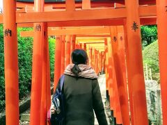 東大を後にして、徒歩10分くらいのところにある根津神社にやって来ました。東京にも京都の伏見稲荷神社のように鳥居が立ち並ぶ神社があると聞いて、１度来てみたかったのです。
「神社なんか、興味ないんだけど～」と言っていた娘がなぜか一番に鳥居をくぐって行きます。
ちなみに、娘はとっても背が低いので上に余裕がありますが、息子はかがまないと通れないくらい小さな鳥居です。