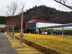 広い敷地に立派な建物、古代出雲歴史博物館です。