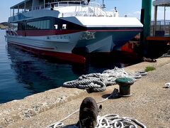 ２０分の船旅を楽しんだ後、待望の相島に上陸しました。

島に上陸したそばから、たくさんの可愛い猫さん達がお出迎えしてくれました。