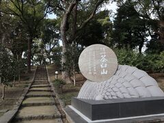 登山するというより階段を登る感じ