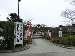 せっかくなので鶴岡八幡宮にも来てみました。外国人の観光客がめっちゃ多い。我が家はこういうところに来てもお賽銭とかせず…