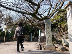 更に登り千光寺に着きました。10：14