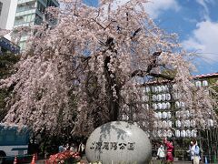 3月22日に東京のソメイヨシノが平年より9日早く満開(80％以上)となりました。

翌日以降はぐずついたお天気が続くようで、青空の下で桜を見られるチャンスがちょうど上野での用事と重なったので、上野恩賜公園へ寄ってみました。

