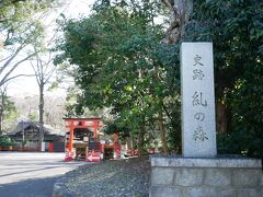 出町柳駅から歩いて約10分。ようやく下鴨神社に到着しました。

いや～実にいい天気です。