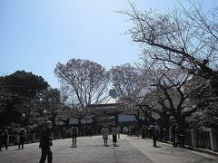 次に訪れたのは北の丸公園です。

田安門へ向かう途中で橋を渡るのですが、両脇の桜は今一歩といった感じでした。

