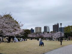 東京ミズマチ前の公園まで来ました