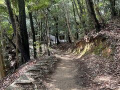 岩国城山自然休養林遊歩道 