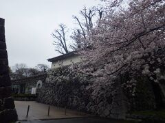 富山城址公園