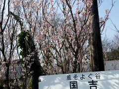 せっかくのフリーきっぷなので
なんとなく国吉駅で降りてみます。


