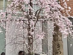 銀座を歩いていて、1丁目の中央通りと東京高速道路が交差する場所に桜が咲いていたので、写真を撮りに近くまで行ったら、「きやうはし」と書いた、橋の欄干のような太い柱が三基残されていました。調べると、親柱と呼ばれるこの柱は、かつて、京橋という橋が架けられていた時代の遺構だそうです。