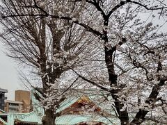 神田明神は、桜が満開でした。境内はソメイヨシノが咲き乱れ、たくさんの参拝者が訪れていました。

花見客があまり多くなく混雑せずに桜を楽しめる穴場スポットだと思います。