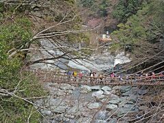 大歩危観光を終え一路かずら橋へ。３0分余りで到着です。
橋の上から見るとかずら橋には大勢の人が、、、