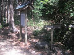 世界遺産熊野古道 馬越峠